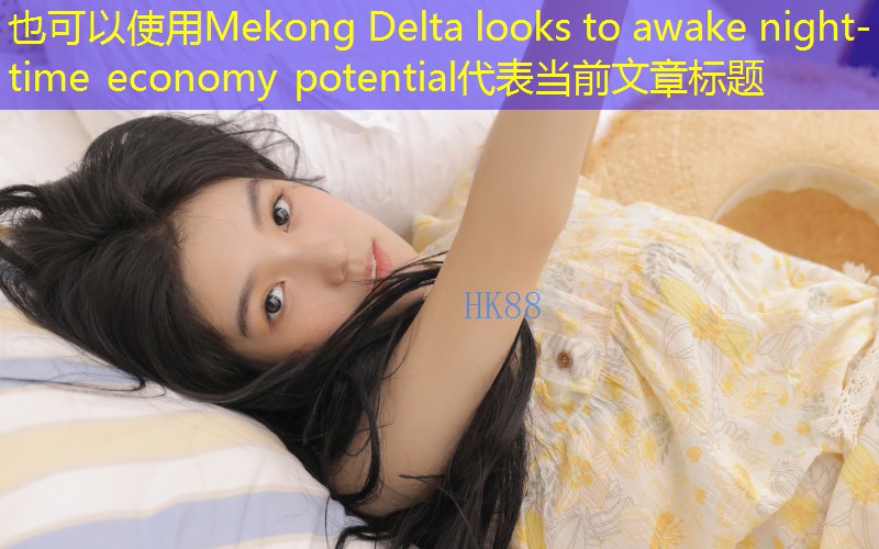 Mekong Delta looks to awake night-time economy potential
