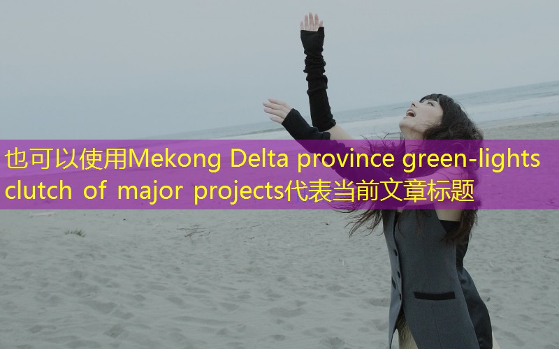 Mekong Delta province green-lights clutch of major projects