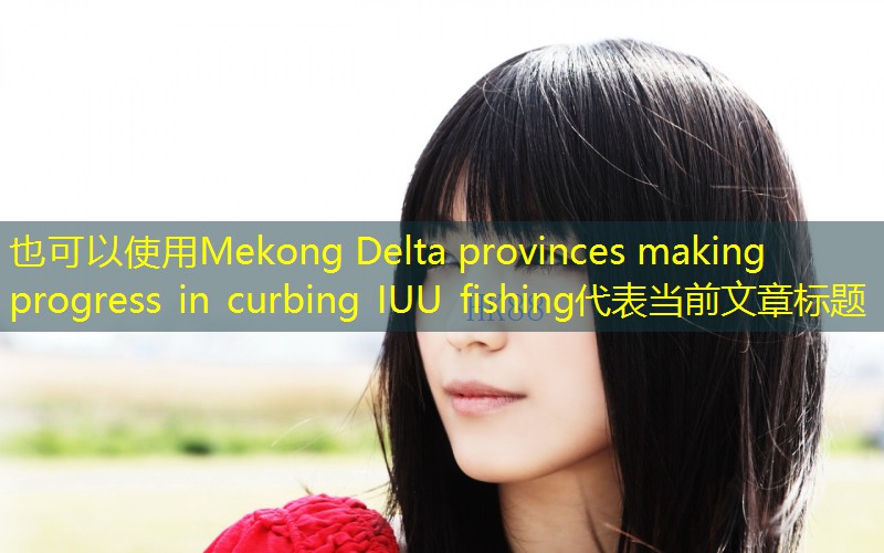 Mekong Delta provinces making progress in curbing IUU fishing